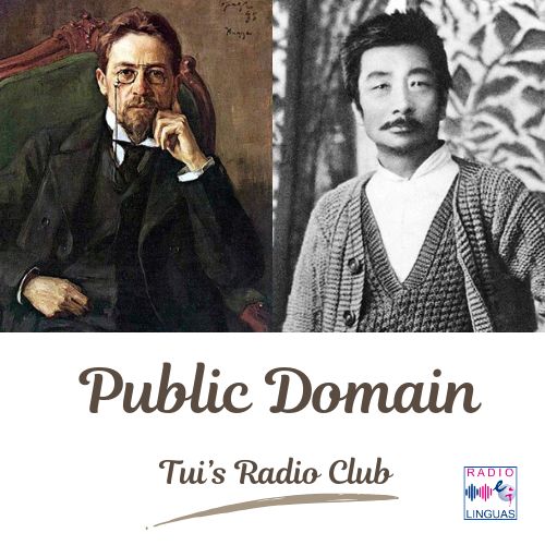 Radio Linguas (Radio Linguas)